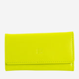 #colore_Lime