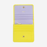#colore_Multicolore2