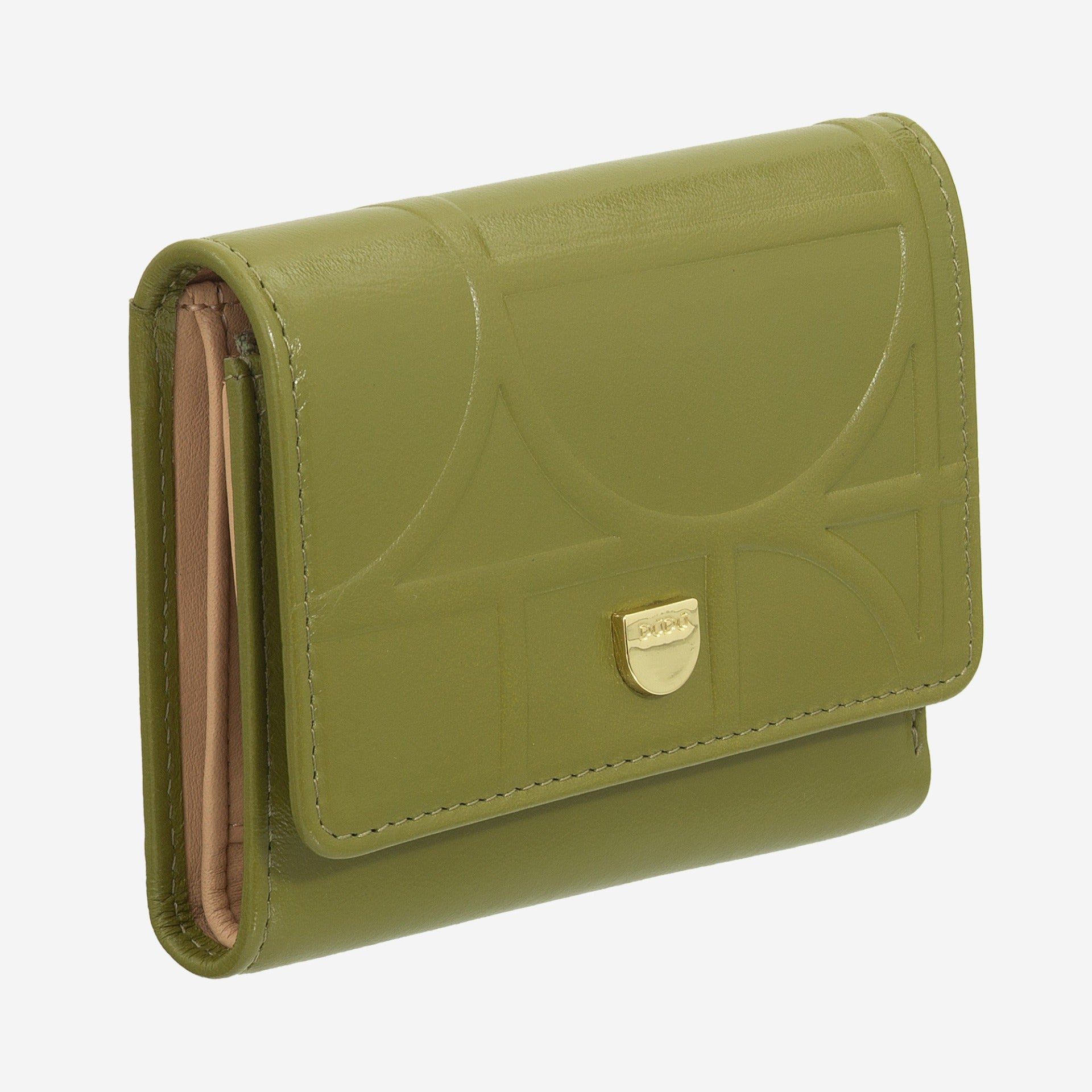 #colore_Olive green, Olive green, Oliva, Оливковый, Olive, Olive, Olijf, Olive green