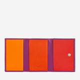 #colore_Fucsia, Fuchsia, Fucsia, фуксия, Fuchsia, Fuchsia, Fuchsia, Fuchsia