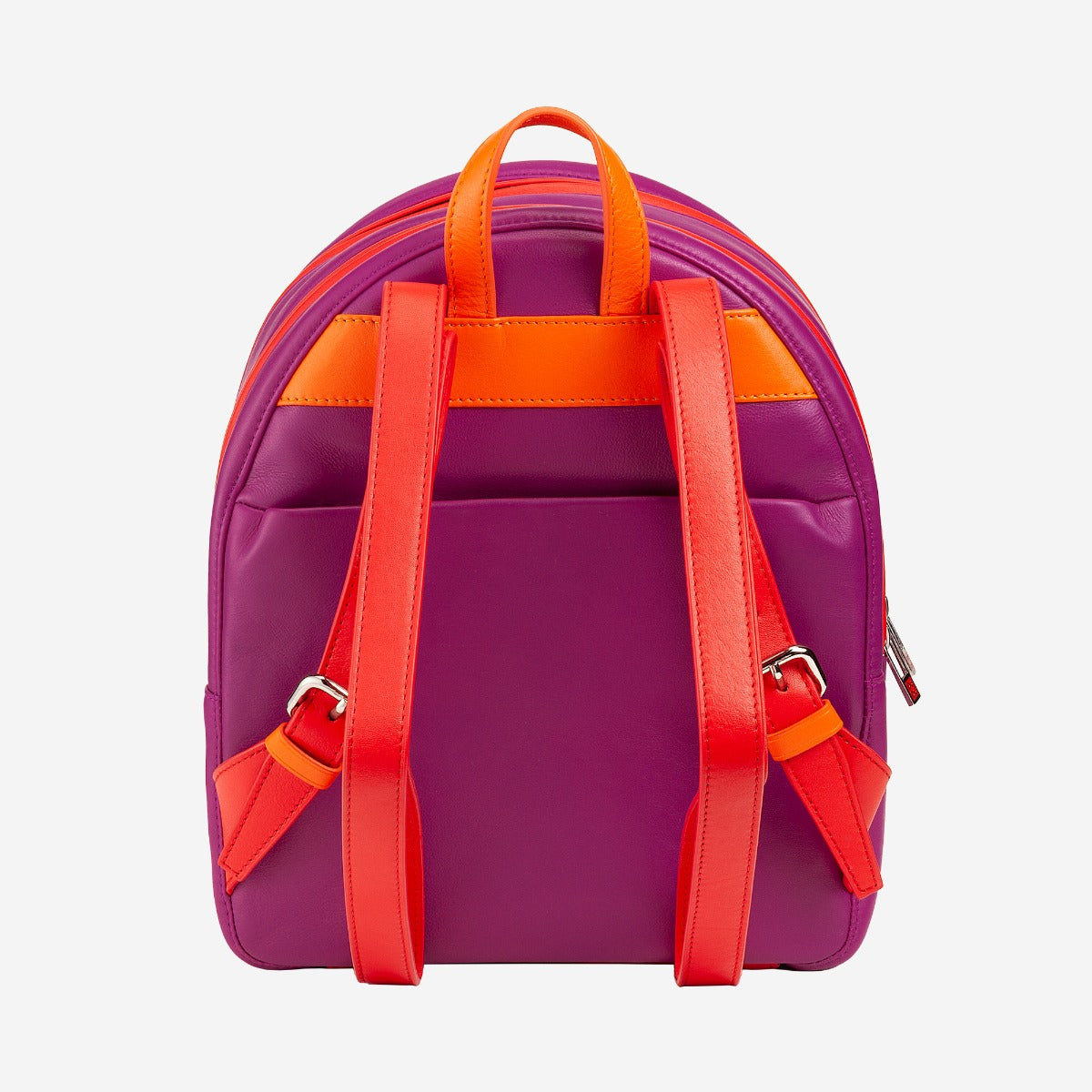 #colore_Fucsia, Fuchsia, Fucsia, фуксия, Fuchsia, Fuchsia, Fuchsia, Fuchsia