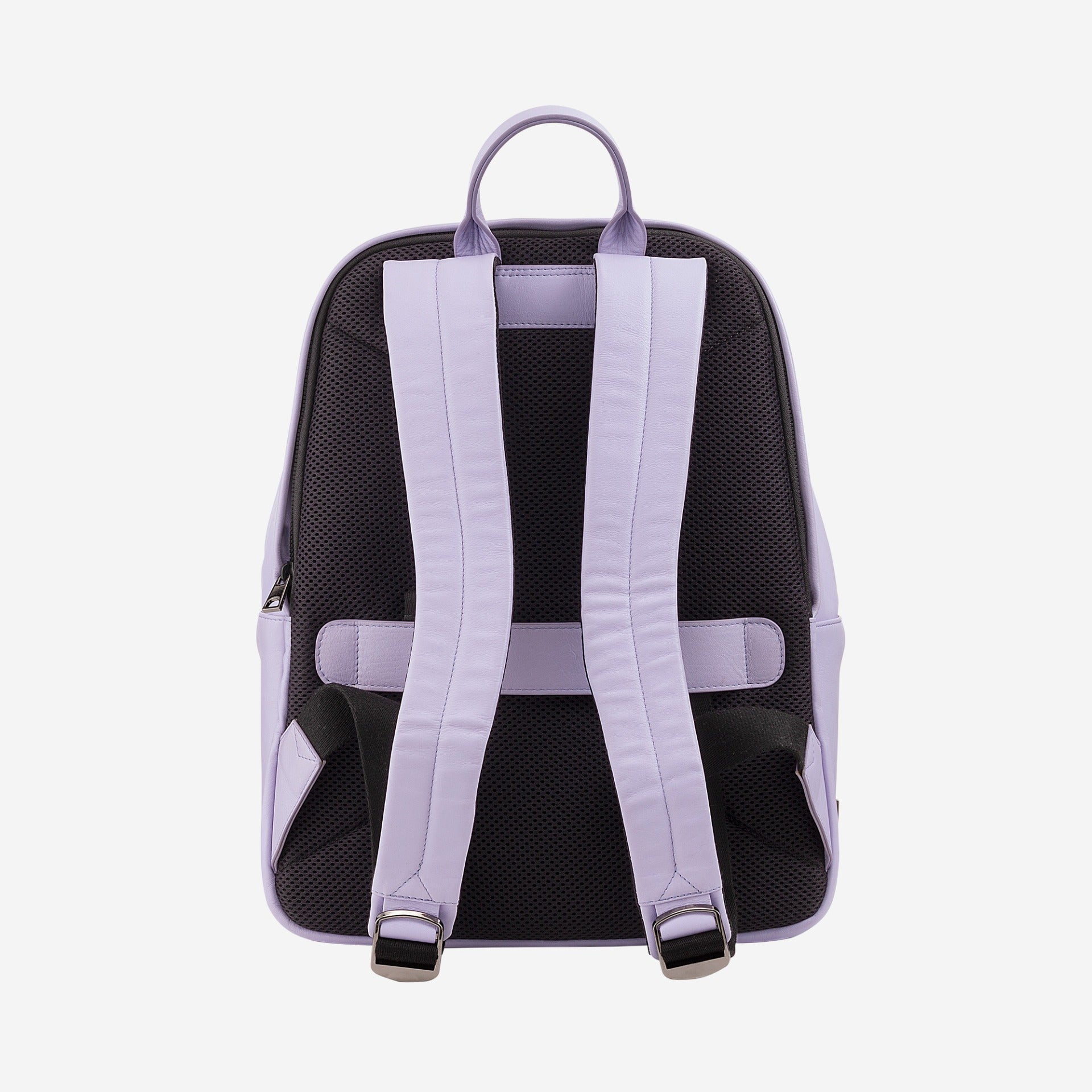 #colore_Provence lilac, Provence lilac, Provence lilac, Сирень, Provence lilac, Provence lilac, Provence lilac, Provence lilac